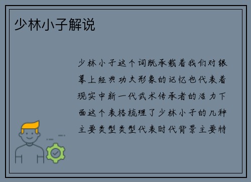 少林小子解说